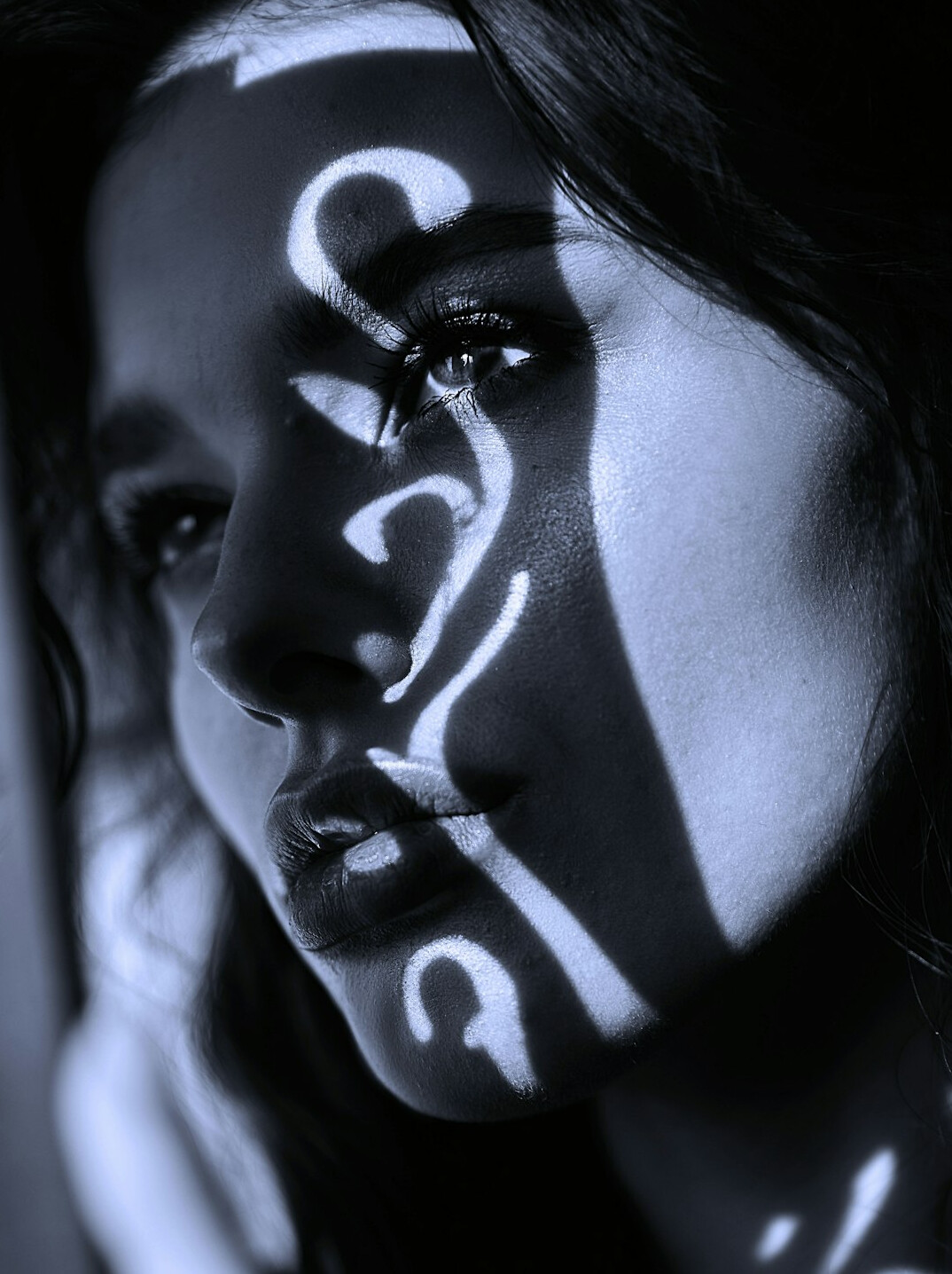 shadowy celebrity portrait